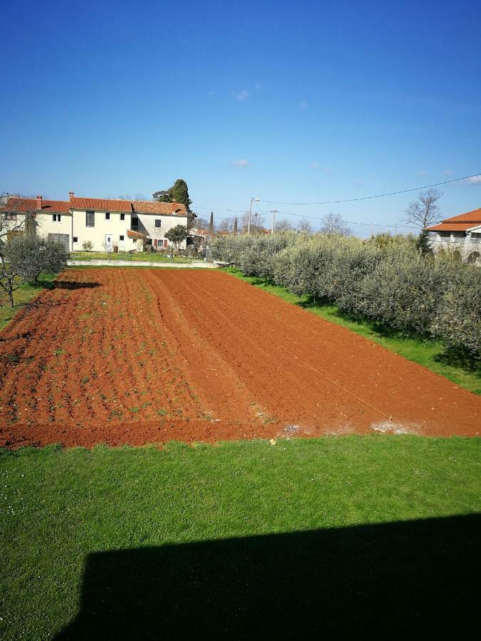 Ljubica Appartement Žbandaj Buitenkant foto
